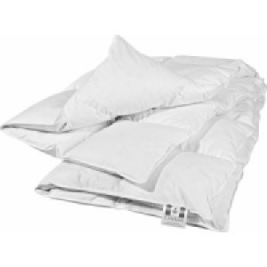 Gänse Cassettendecke 35.00 €