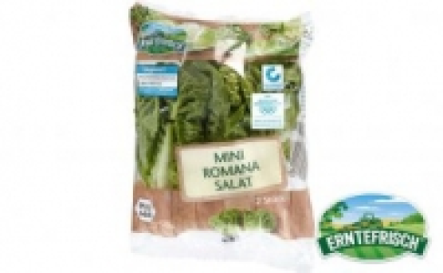 Salatherzen 0.69 €