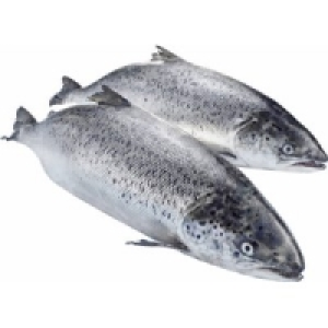 Lachs 9.99 €