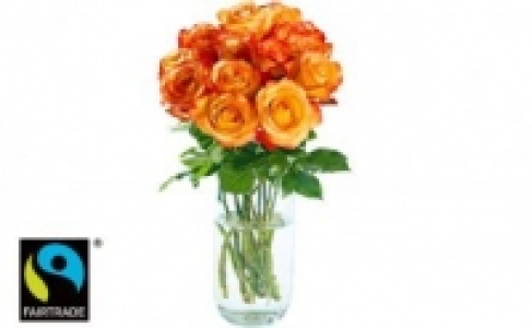 Edelrosen 2.99&nbsp;&euro;