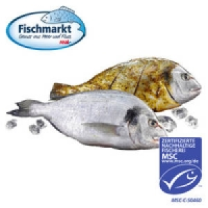 Dorade Royale, natur oder grillfertig-mariniert 5.00 €