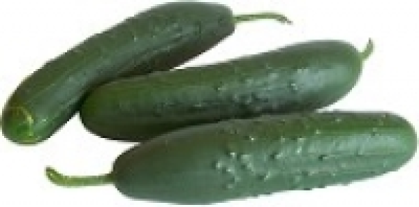 Landgurken 2.99 €