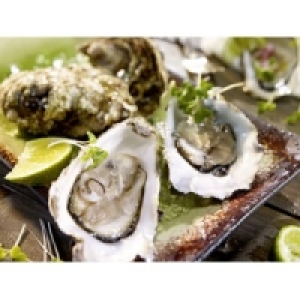 Felsenauster Fine de Claire Nr.2 0.79 €