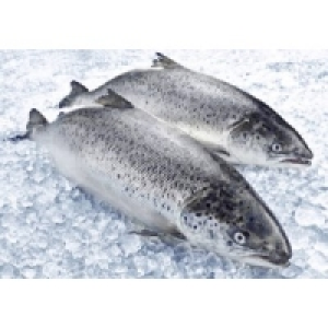 Lachs 9.99 €