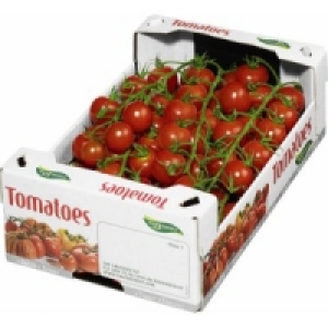 Rispencocktailtomaten 4.69&nbsp;&euro;
