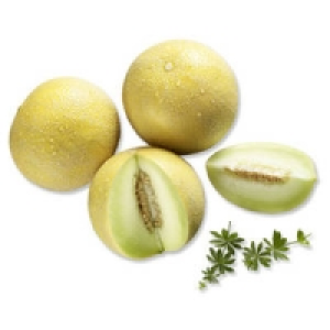 Spanien Galiamelonen 0.99&nbsp;&euro;