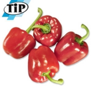 Niederlande/Spanien Paprika, rot 1.29&nbsp;&euro;
