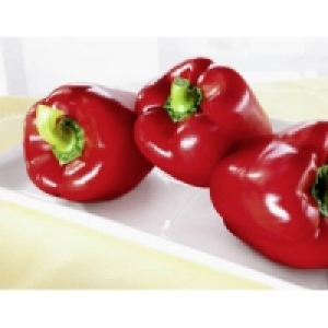 Paprika rot