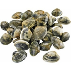 Teppichmuschel Vongole Verace 11.99 €