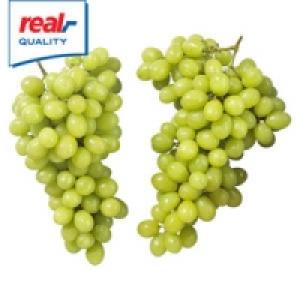 Italien Tafeltrauben, hell, Victoria oder Italia