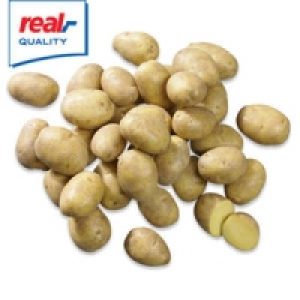 Deutschland Speisekartoffeln