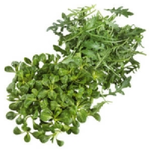 Deutschland/Frankreich Feldsalat 150 g Deutschland/Italien Rucola Sala