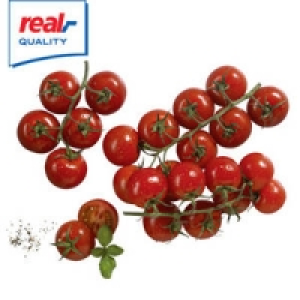 Niederlande Mini-Rispentomatent