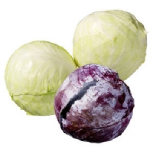 Deutschland Rot- oder Wei&szlig;kohl
