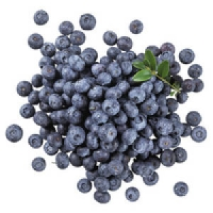 Deutschland Kultur-Heidelbeeren 2.49 €