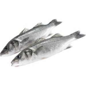 Wolfsbarsch