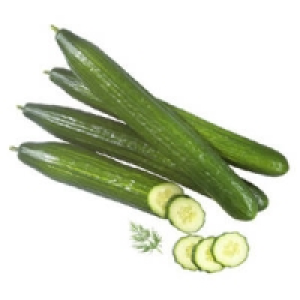 Deutschland/Niederlande Salatgurken