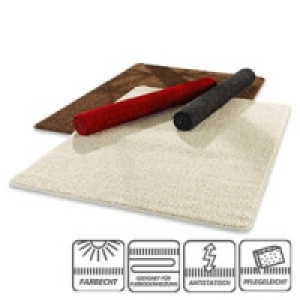 Hochflor-Teppich 29.95&nbsp;&euro;