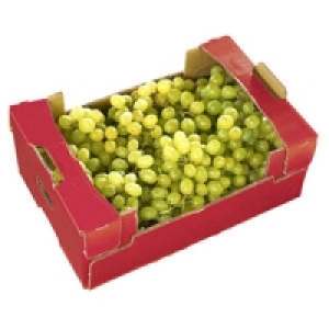 Türkei Tafeltrauben hell, kernlos Sultanas
