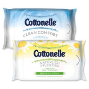 Cottonelle feuchtes Toilettenpapier