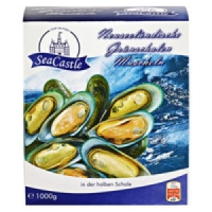 SeaCastle Gr&uuml;nschal-Muscheln
