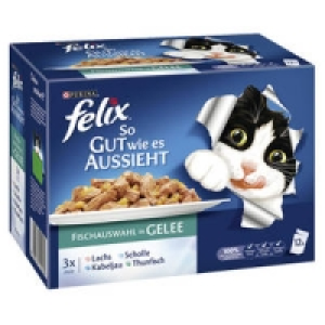 felix Katzen-Nassnahrung