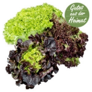 Deutschland Bunte Salate, z.B. Lollo Rosso, Lollo Bionda oder Eichblat
