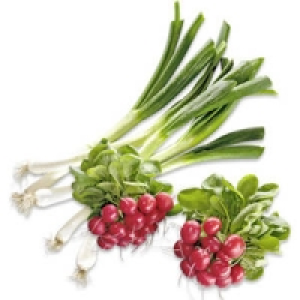 Deutschland Radieschen oder Lauchzwiebeln