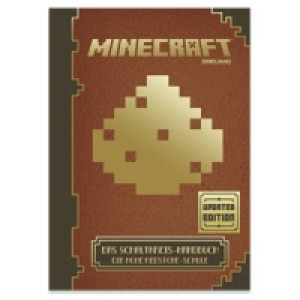 Buch Minecraft