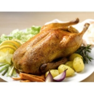 Grill-Enten