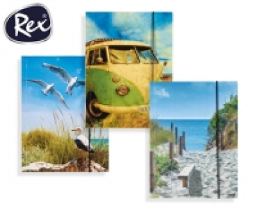 Rex® Sammelmappe, 3er- oder 2er-Set