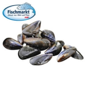 Bouchots-Muscheln