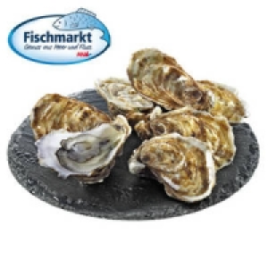 Felsenaustern 0.99 €
