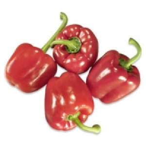 Spanien Paprika, rot 1.49 €