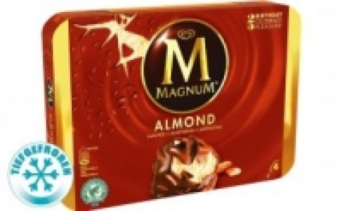 Langnese Magnum Eis 1.99 €