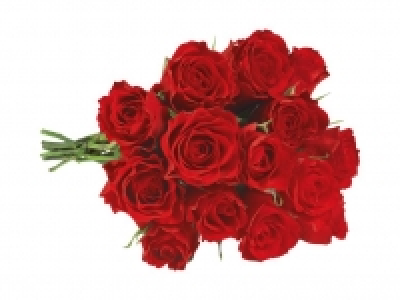 Edelrosen 4.99&nbsp;&euro;