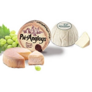 Le Brebiou des Pyr&eacute;n&eacute;es oder Pi&eacute; d&acute;Angloys