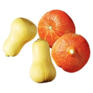 Deutschland Speisek&uuml;rbis Hokkaido oder Butternut