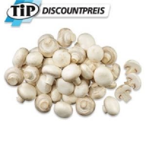 Niederlande/Polen Champignons, wei&szlig;