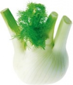 Fenchel 2.99 €