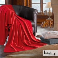 Aldi Nord Living Art® Thermo-Fleece-Decke