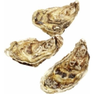 Felsenauster Fine de Claire Nr.2 0.79 €