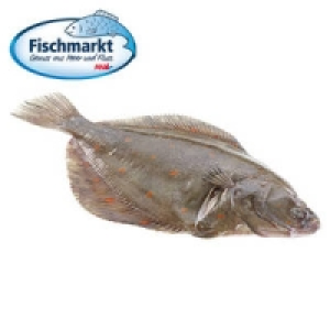 Scholle mit Kopf 3.00&nbsp;&euro;