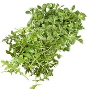 Frankreich Feldsalat oder Deutschland/Italien Rucola Salat