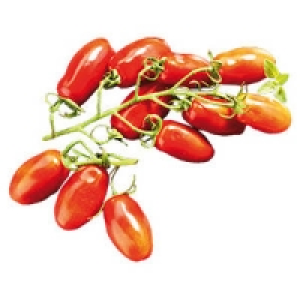 Italien Datteltomaten San Marzano