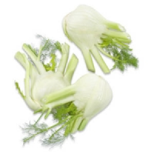 Italien Fenchel