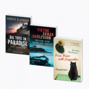 Taschenbuchroman 1.99 €