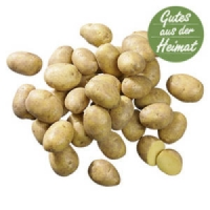Speisekartoffeln aus dem Rheinland