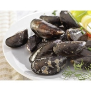 Miesmuscheln Jumbo