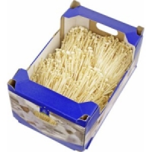 Frische Enoki